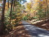 Filename=TusseyMTN50miler2010 015.JPG
Filesize=1375KiB
Dimensions=3072x2304
Date added=Oct 17, 2010 TusseyMTN50miler2010 015.JPG