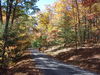Filename=TusseyMTN50miler2010 016.JPG
Filesize=1377KiB
Dimensions=3072x2304
Date added=Oct 17, 2010 TusseyMTN50miler2010 016.JPG