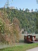 Filename=P9220023.JPG
Filesize=660KiB
Dimensions=1536x2048
Date added=Sep 28, 2011 P9220023.JPG